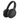 Sennheiser HD 450SE Headphones